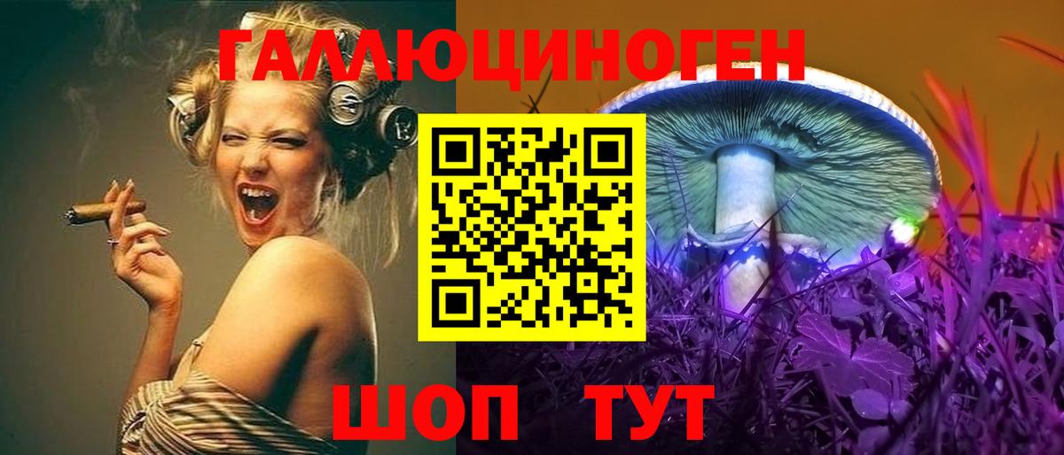 Псилоцибиновые грибы Cubensis  Вход с VPN  Томск 