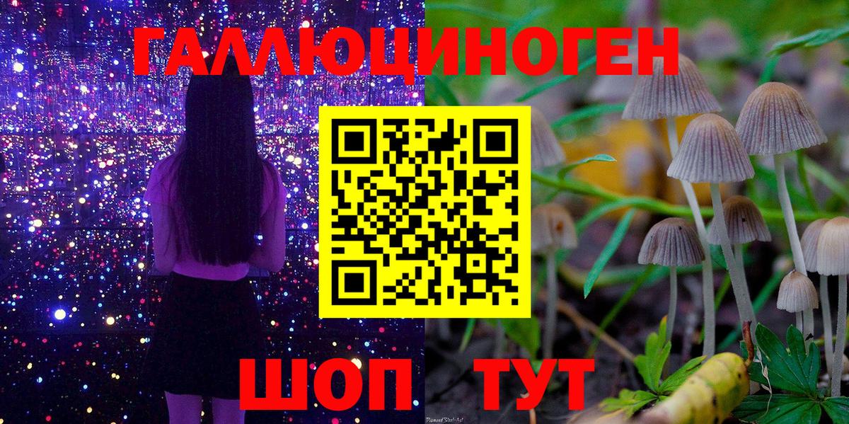 Псилоцибиновые грибы мухоморы Томск